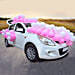 Baby Girl Welcome Car Decor