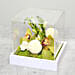 Green Cymbidium in Acrylic Base