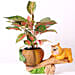 Beautiful Aglaonema Plant in Bear Design Pot
