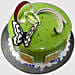 Green Butterfly Truffle Cake