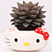 Hello Kitty Pot of Echeveria Plant