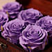 6 Purple Forever Roses in Treasure Box