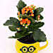 Emoticon Mug with Kalanchoe Plant