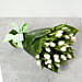 White Tulips Bouquet