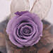 Purple Forever Rose In Glass Dome
