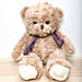 Coffee Brown Teddy Bear