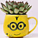 Green Echeveria Plant in Emoticon Mug