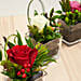 Set Of 3 Flower Vase Arrangements