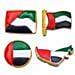 UAE National Day Themed Cookies