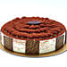 Tiramisu 12 Portion Cake