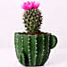 Artificial Flower Cactus in Cactus Design Pot