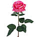 Artificial Dark Pink Roses