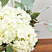 Hydrangeas In Clear Wine Glass Vase