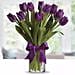 10 Purple Tulip Arrangement