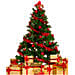 Fresh and Real Xmas Tree with Decoration