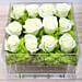 White Roses in Acrylic Base