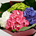 Beautiful 4 Colour Hydrangea Bouquet