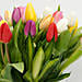 25 Vibrant Tulips Bunch