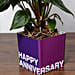 Red Anthurium Plant For Anniversary