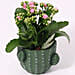 Kalanchoe Plant In Cactus Design Ceramic Pot