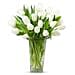 20 White Tulips