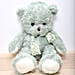 Light Green Teddy Bear