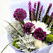 Enchanting Delistar and Liatris Mixed Bouquet SG